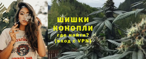 прущие крисы Вяземский