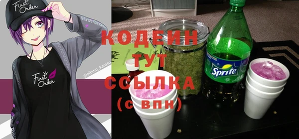 прущие крисы Вяземский