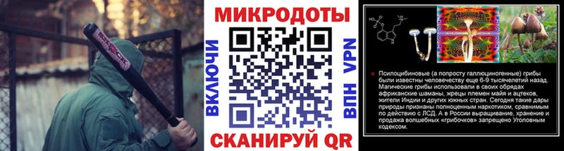 kraken зеркало  Жиздра  Псилоцибиновые грибы Psilocybine cubensis 